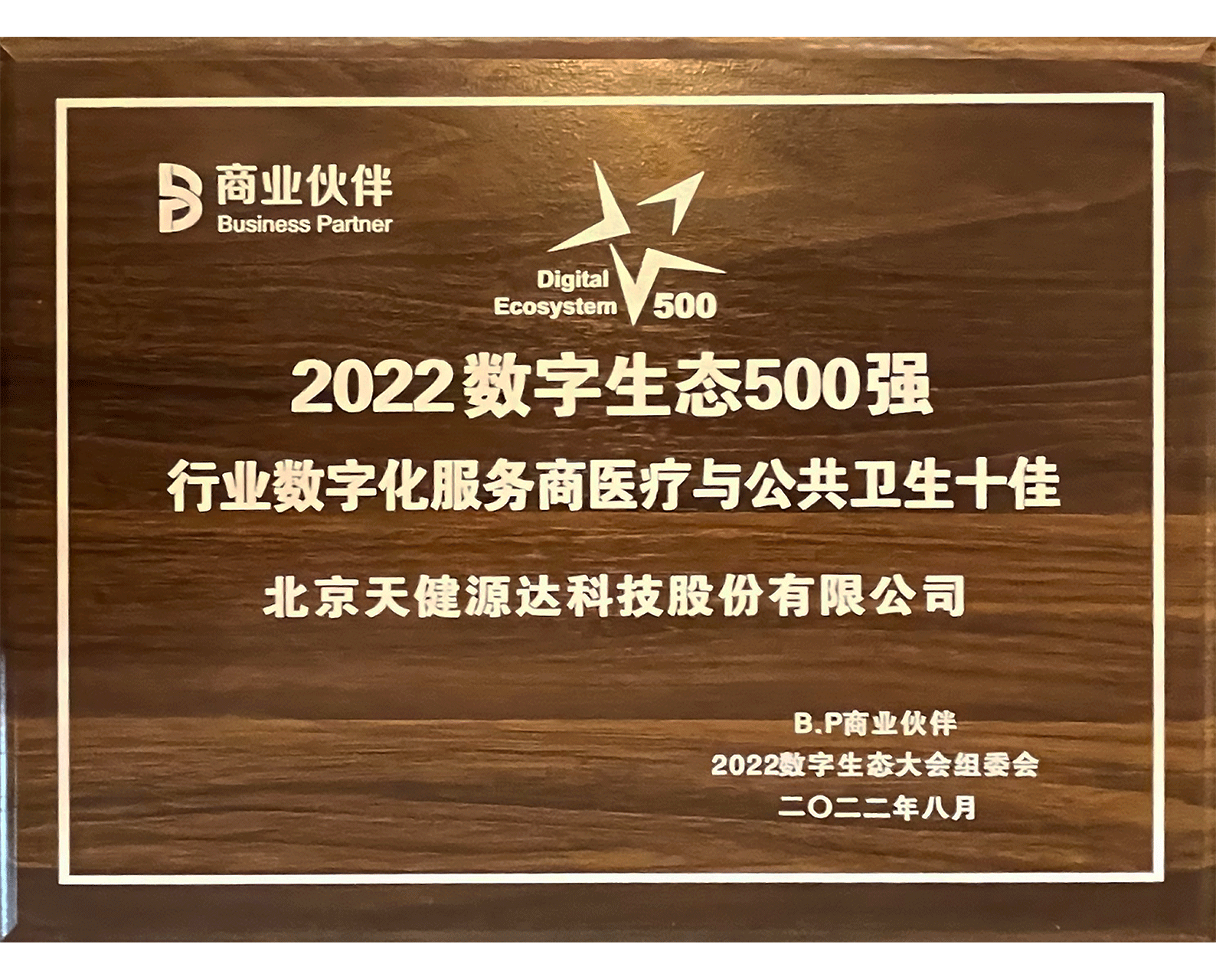 2022數(shù)字生態(tài)500強 行業(yè)數(shù)字化服務商醫(yī)療與公共衛(wèi)生十佳